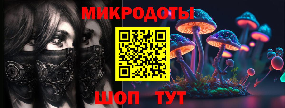 Псилоцибиновые грибы Psilocybe Миасс