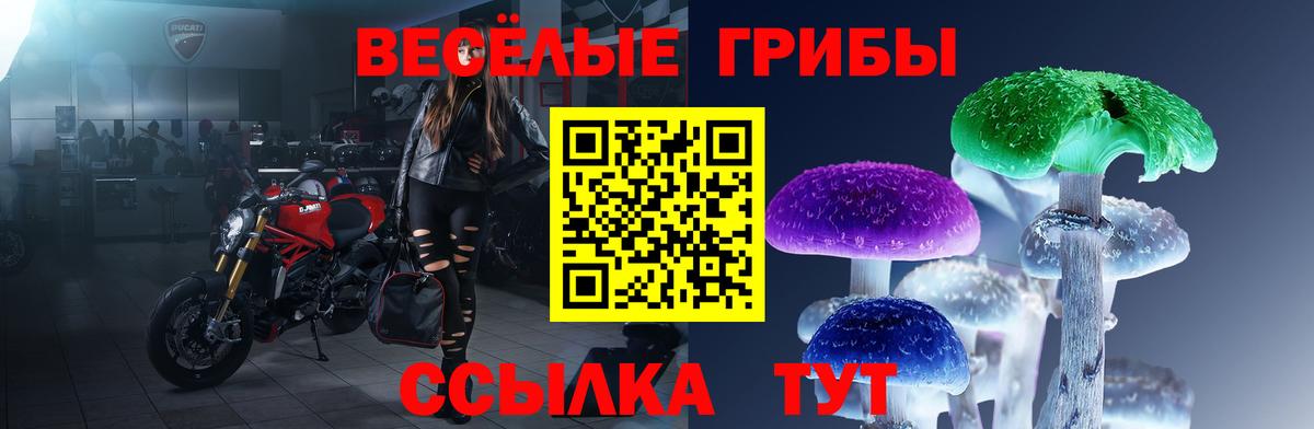 Галлюциногенные грибы прущие грибы  Псилоцибиновые грибы Psilocybe  Вход с VPN  Миасс 